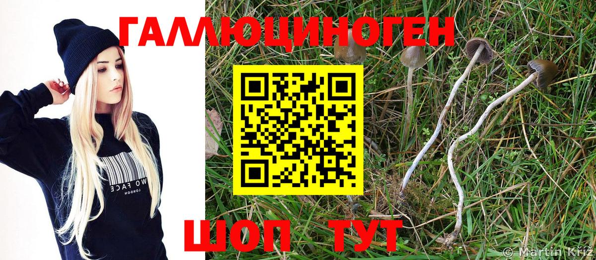 Псилоцибиновые грибы MAGIC MUSHROOMS  купить  сайты  Псков  Галлюциногенные грибы MAGIC MUSHROOMS  Вход с VPN 